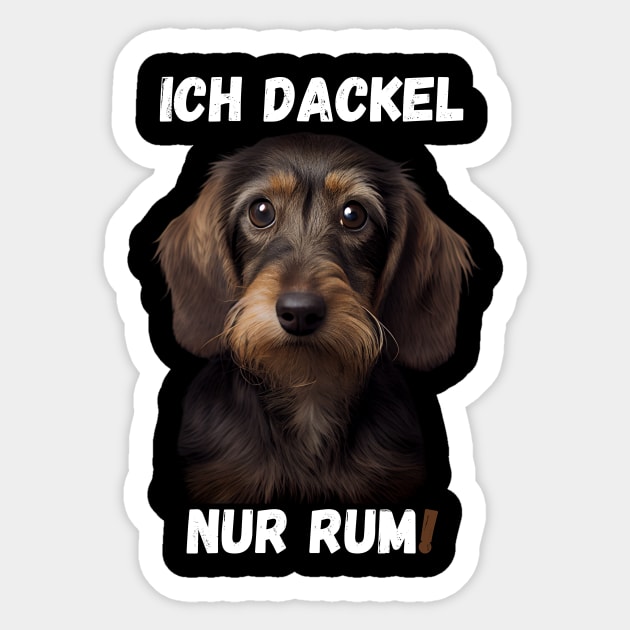 Sweet Wire-haired Dachshund - I Just Dachshund Around! 2 Sticker by PD-Store